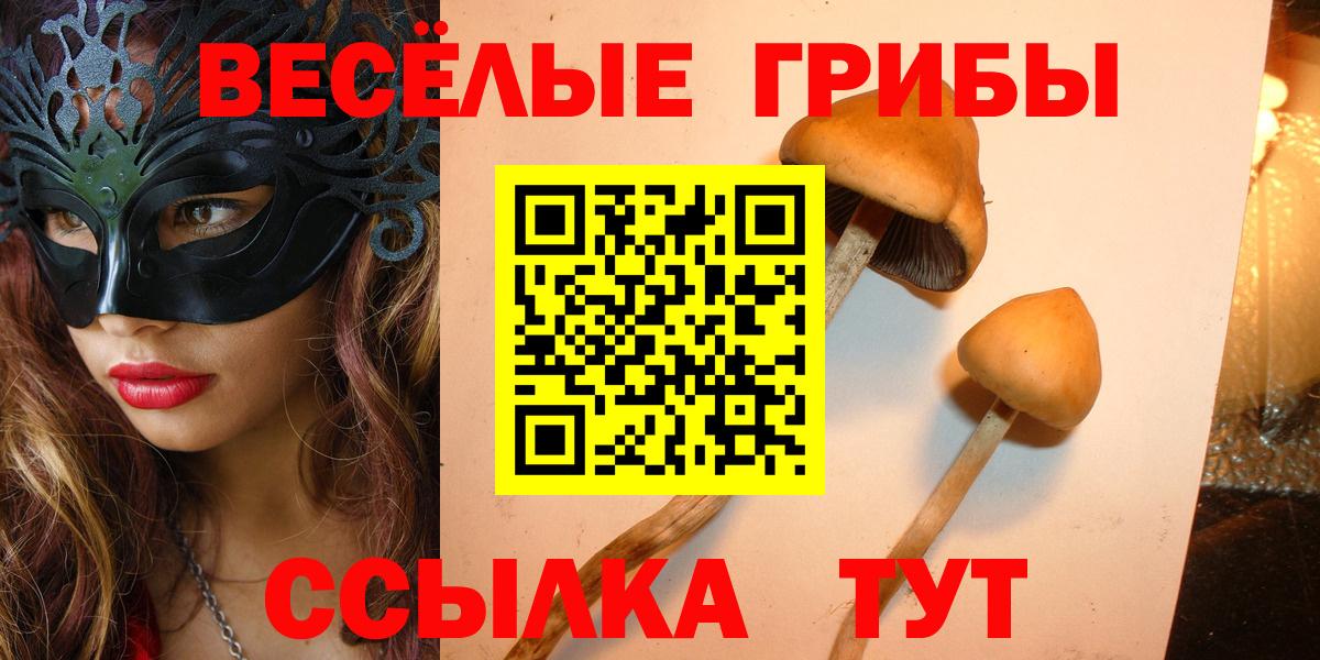 Псилоцибиновые грибы ЛСД Ишимбай